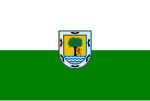 Flag of Santa Fe de Antioquia